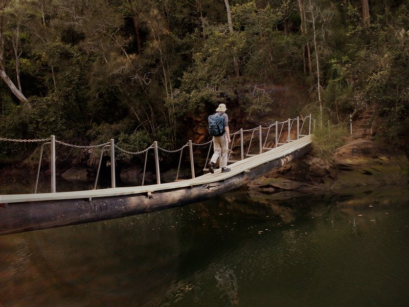 Old Calna Creek Log Bridge.JPG