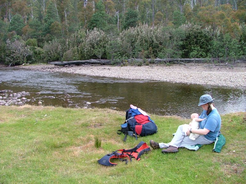 DSCF2165.jpg