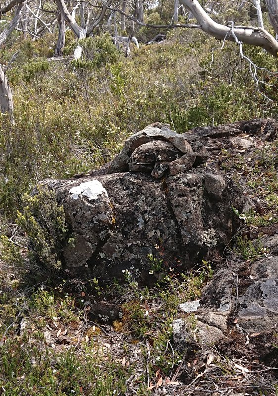 summit cairn ed.jpg