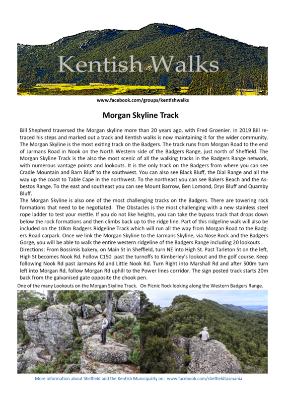 Morgan Skyline Track Brochure I.png