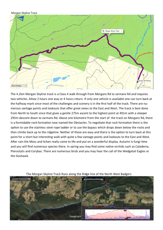 Morgan Skyline Track Brochure II.png