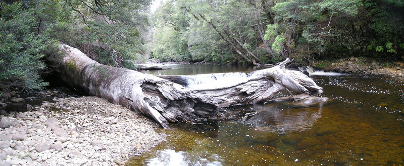 Mystery River.jpg