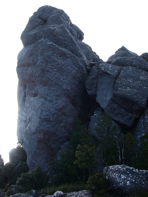 P1010776.JPG