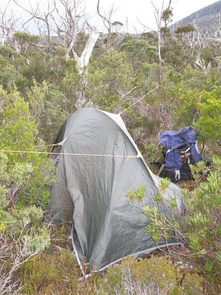 tent.jpg