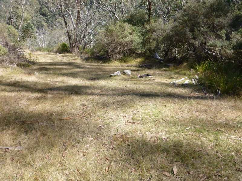 Big R campsite.jpg