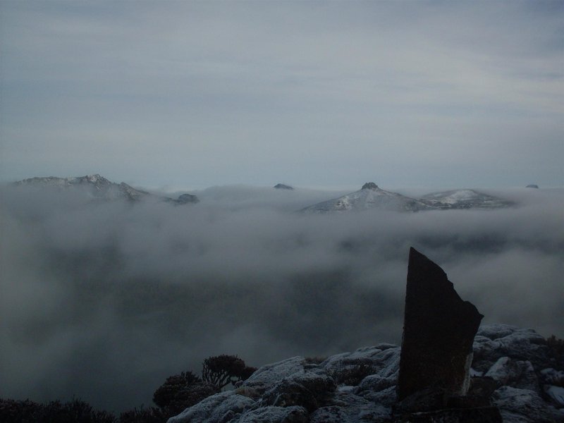 SDC10355 (Custom).JPG