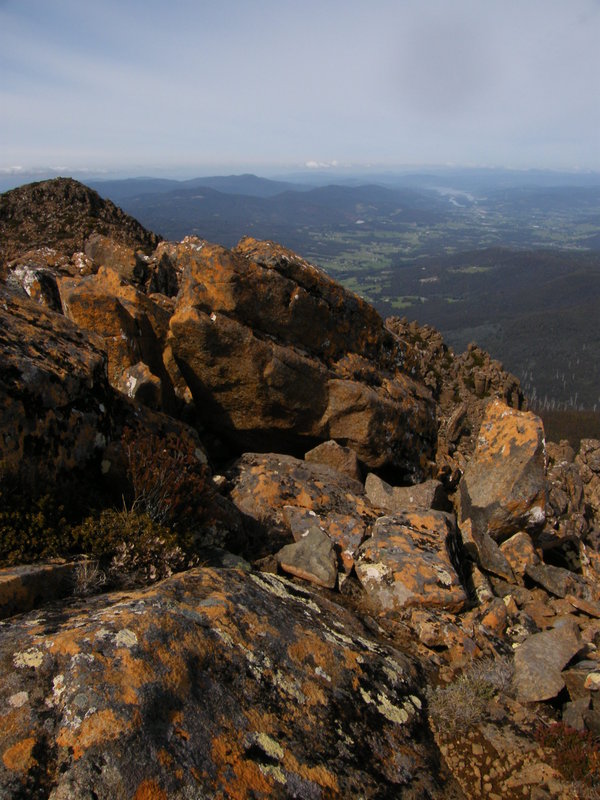 DSCF7197.JPG