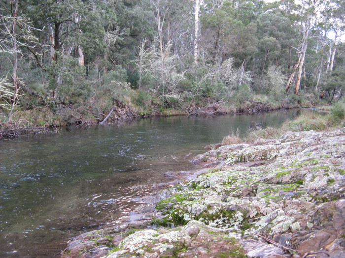 Dargo River.jpg