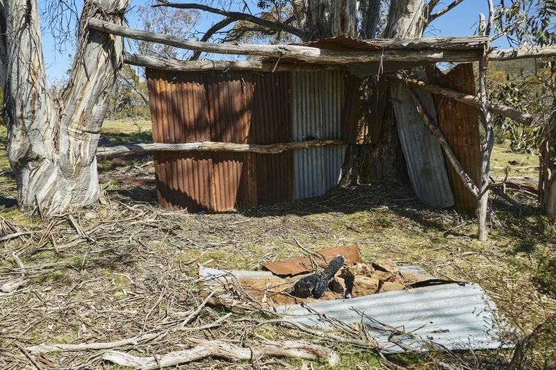 Peppercorn Shelter.jpg