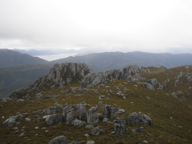 STF_1789.JPG