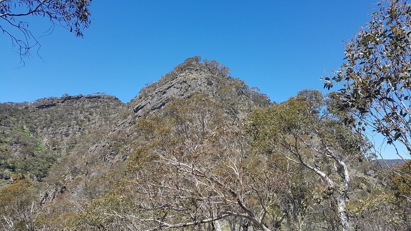 Cliffs on upper King Spur.jpg