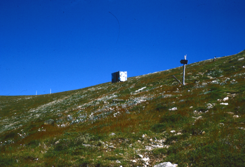 Summit Hut 1973.png