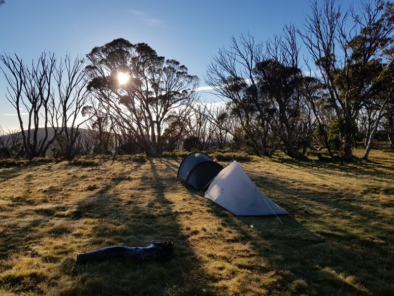 Bogong.png