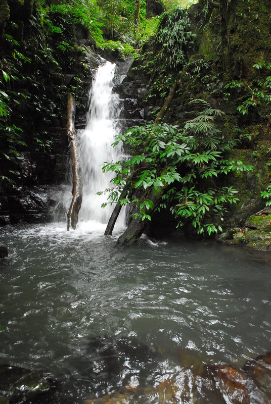 Barrington Tops - Rocky Crossing (79).jpg