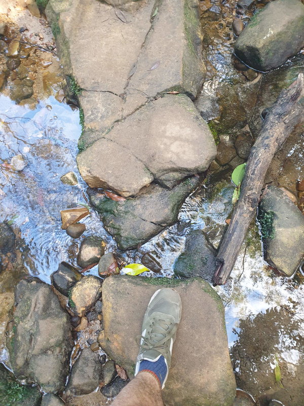 little creek.jpg