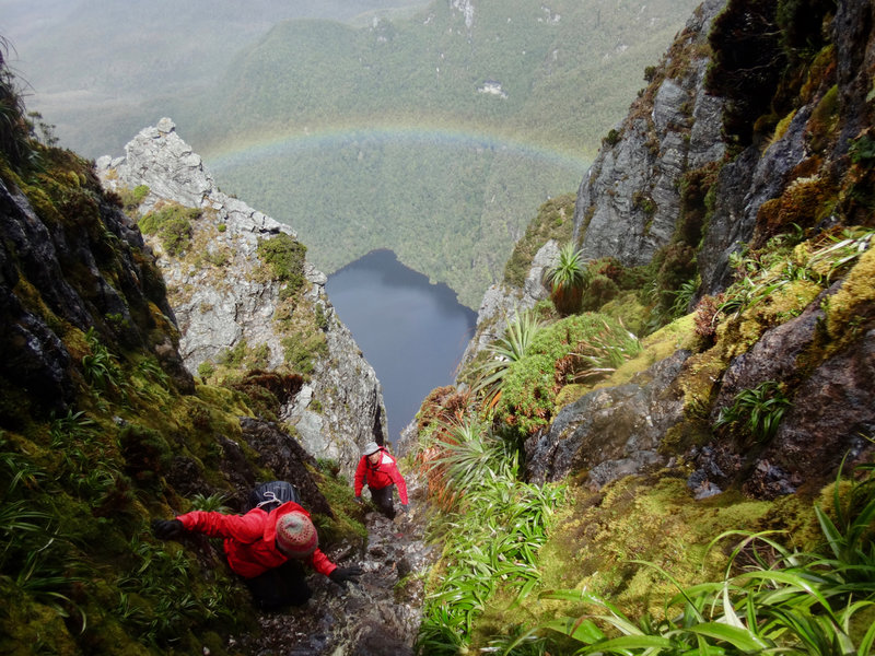 Hope rainbow (2).jpg