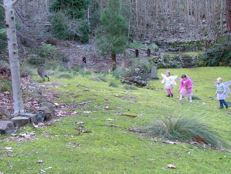 DSCF3754.jpg