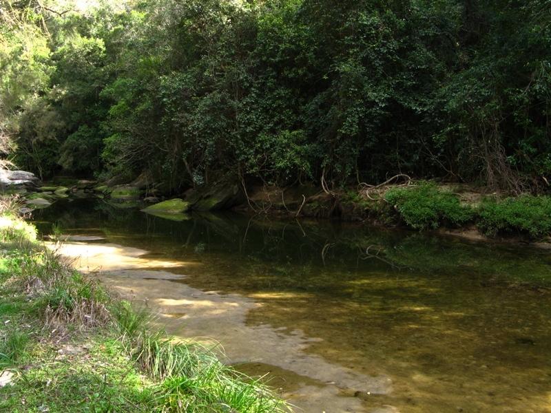 Sandy Calna Creek.jpg