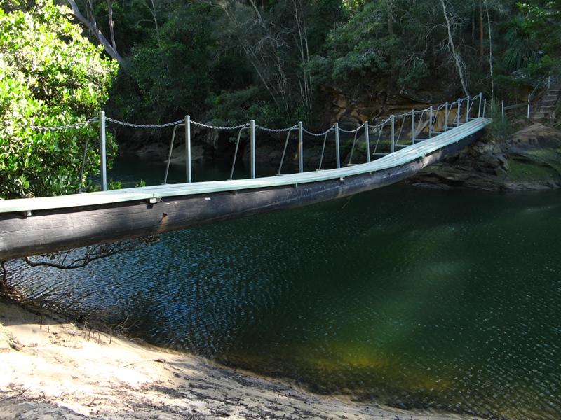 Log Bridge.jpg