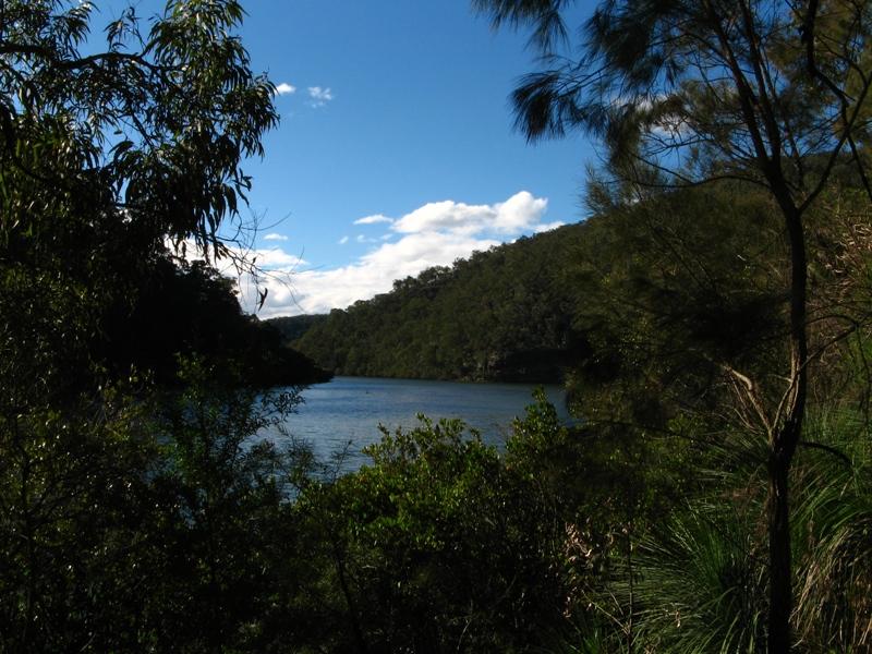 Berowra Creek.jpg