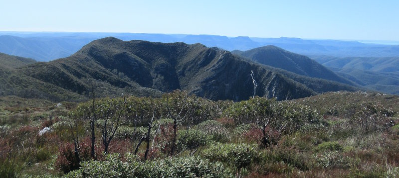 maurice_spur_mount_roberts from saddle.jpg