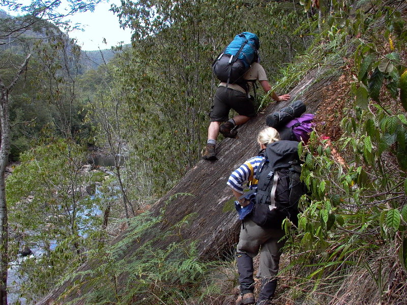 PC Trail-Leven R track.JPG