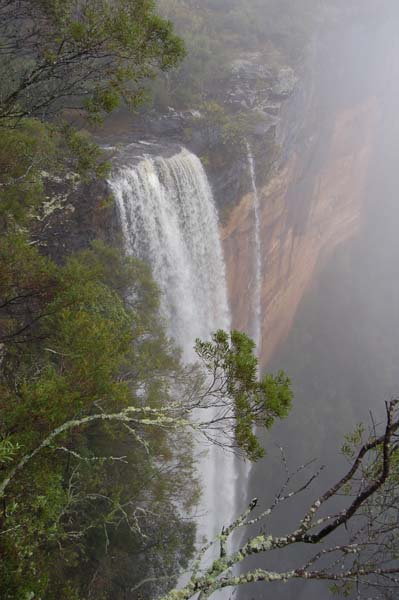 Fitzroy Falls.jpg