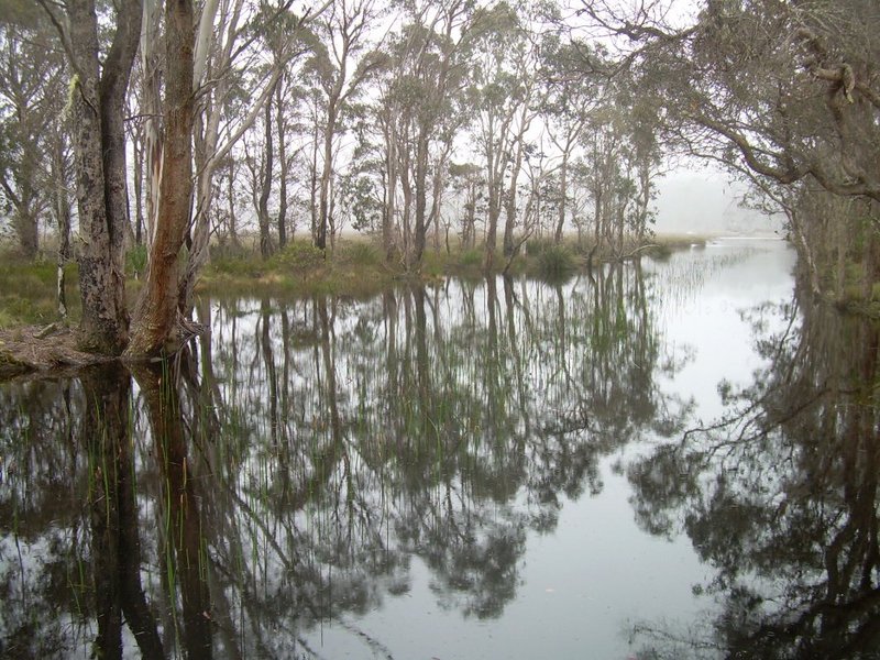 Near the Weir sml.JPG