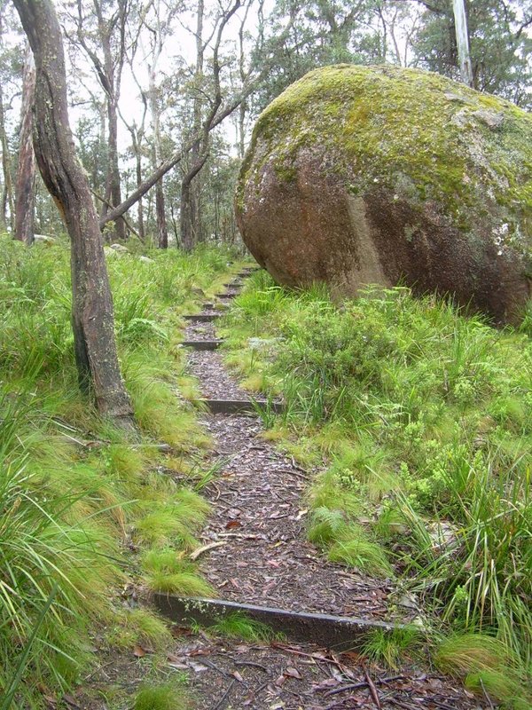 Cathedral Rock track sml.JPG