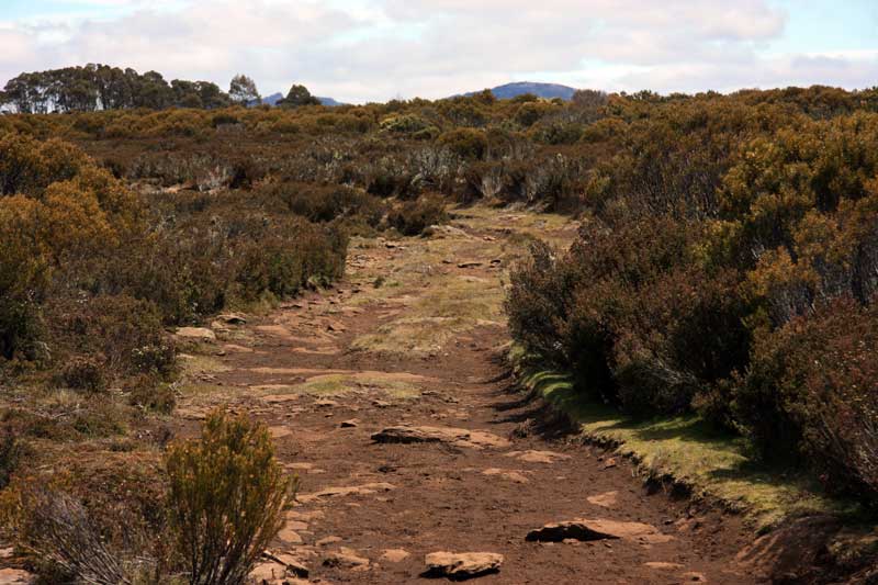 TrackStart.jpg