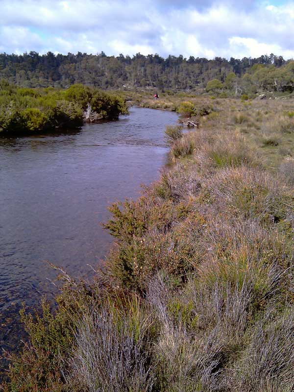 PineRiver.jpg