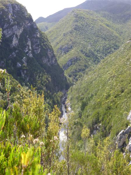 Climbing out from the Franklin River.jpg