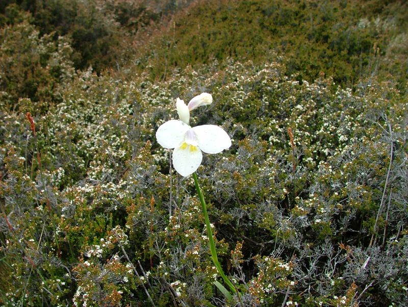 DSCF3879.jpg
