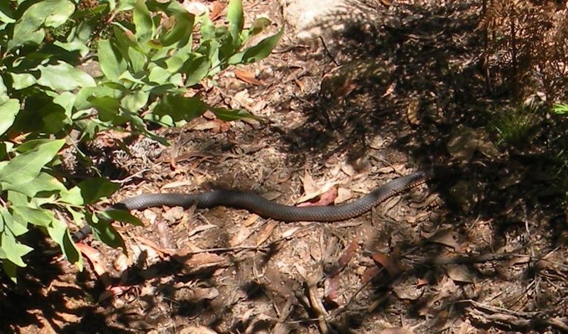 DSCN7515.JPG