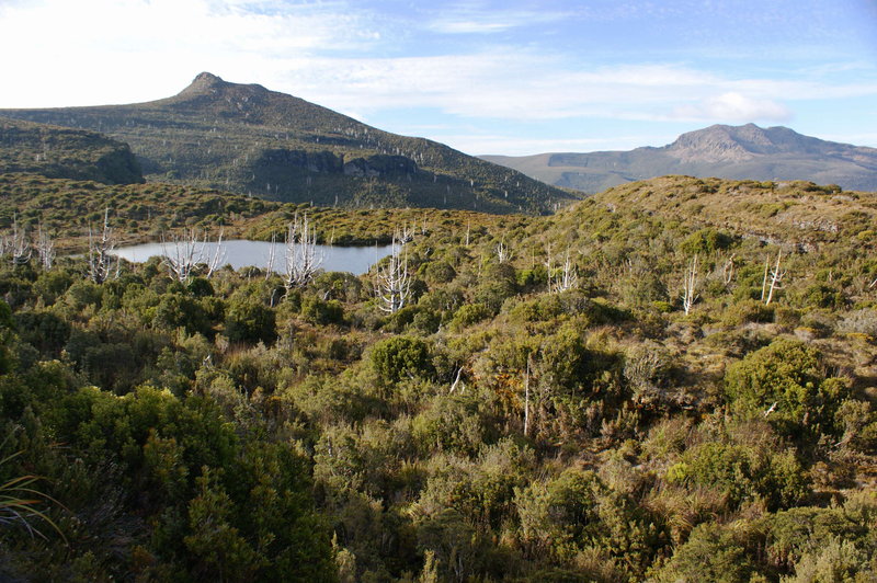 picton 3.jpg