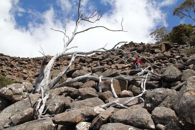 Boulder Field.jpg