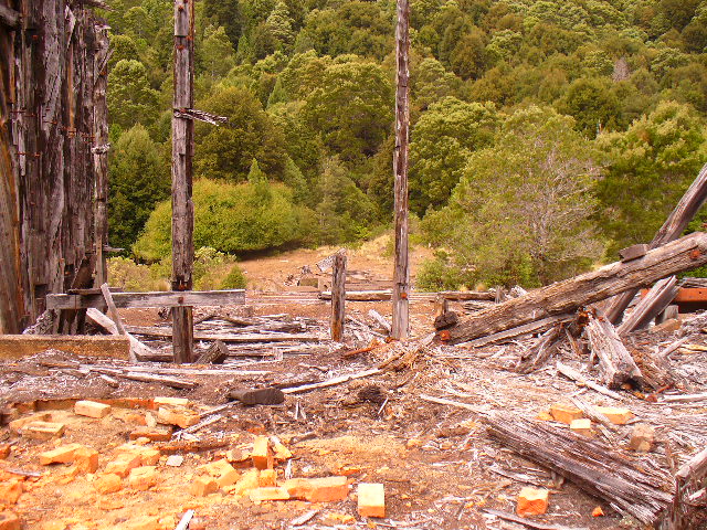 P1000737.JPG
