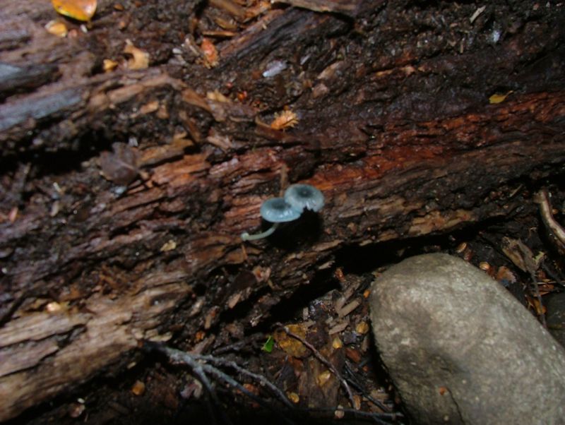 DSCF3954.jpg