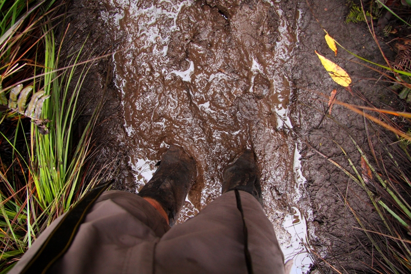 201 More mud than track 9-3-11.JPG