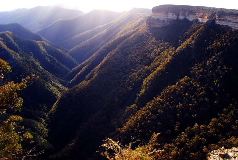 Kanangra Walls 058 - Plateau walk - sp.jpg alt.jpg