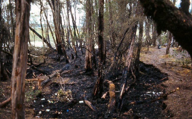 Camp fire at Pedder.jpg