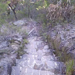 Rock steps to Lillian's Glen (10175)