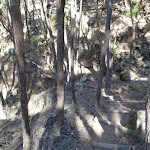 Stairs into small gully (102550)