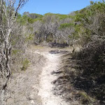 Kangarutha Track north of White Rock (103909)