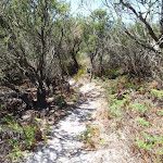 Kangartha Track north of Wallagoot Gap (104428)