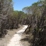 Kangarutha Track north of Wallagoot Gap (104470)