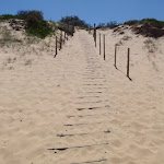 Track down dunes onto Wallagoot Beach (104902)