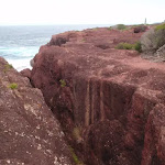 Red cliffs (105424)