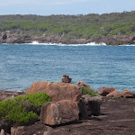 Looking across the entrance of Bittangabee Bay from the north (106531)