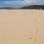 Bournda Beach (106642)